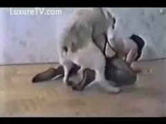 A gorgeous, attractive woman with a hairless vaginal doggie posture that was hammered by a brute